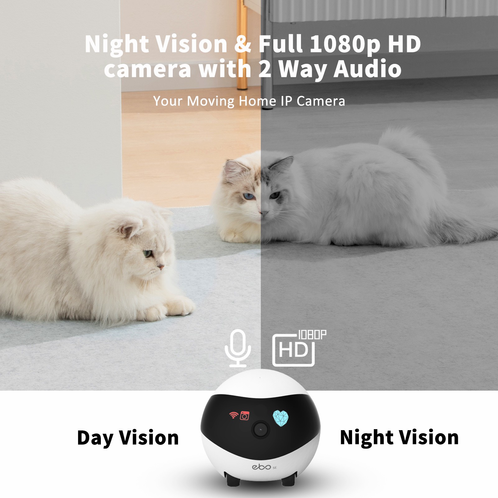EBO SE スマートホームロボットコンパニオン セキュリテ - Home Security Robot のレビューと価格